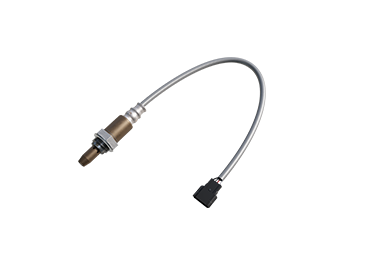 ���޵���������������