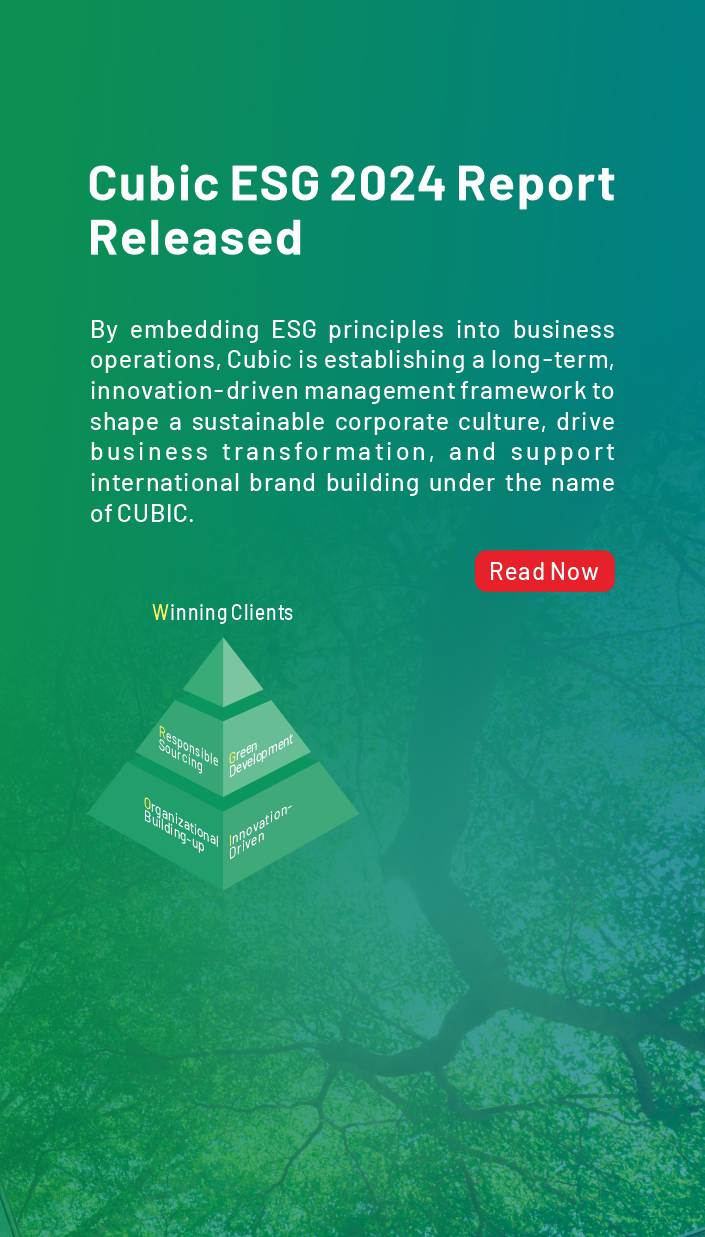 Cubic ESG banner.jpg